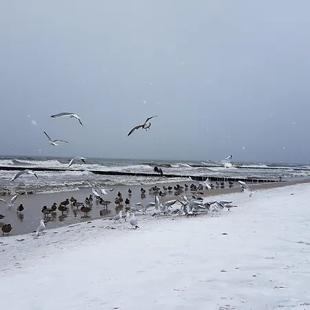 Haus Anni Br 300 M Bis Zum Kölpinsee